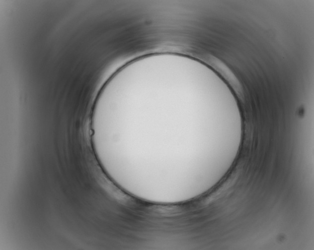 X0000100411340200807032029