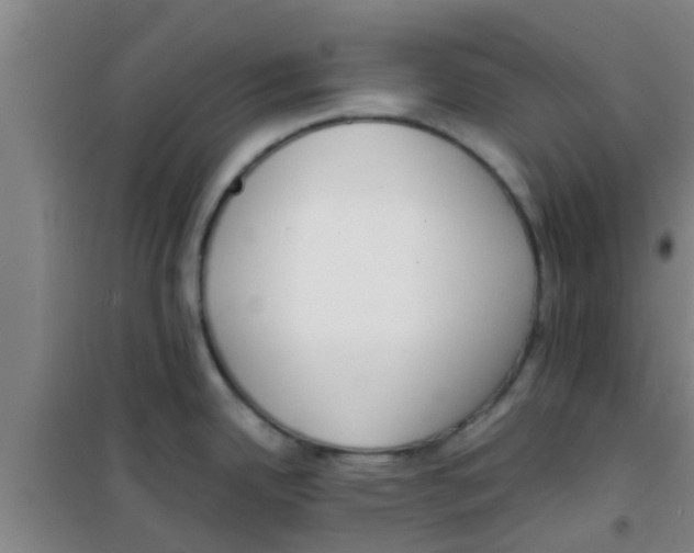 X0000100411342200807032029