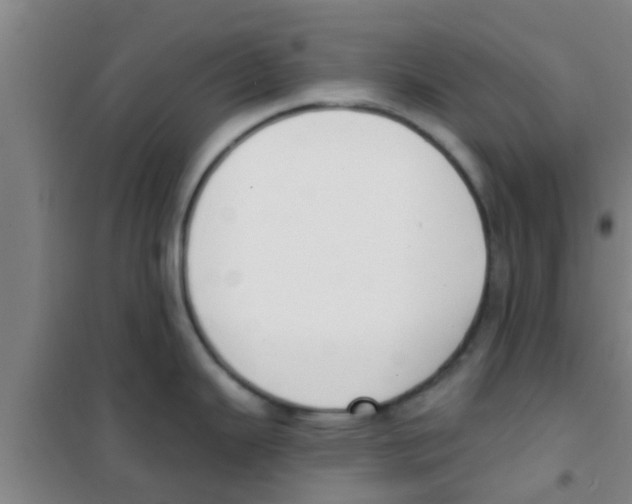 X0000100411343200807032029