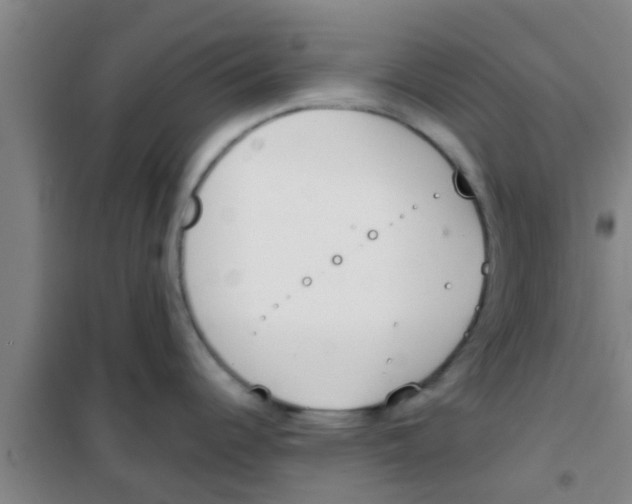 X0000100411344200807032029