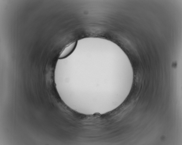 X0000100411346200807032028