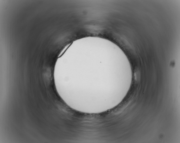 X0000100411347200807032028