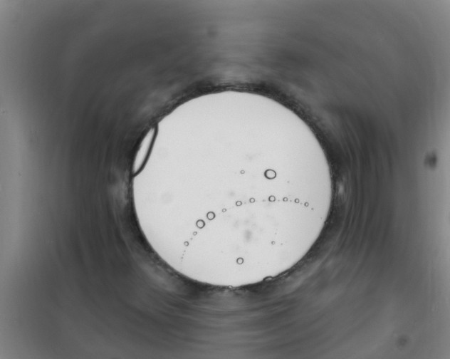 X0000100411348200807032028