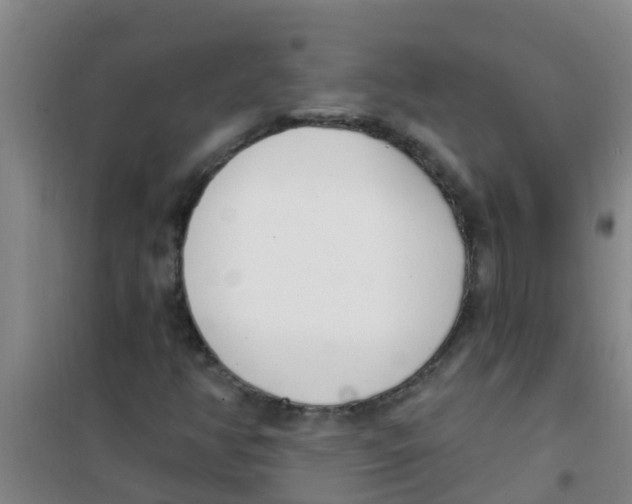 X0000100411350200807032028