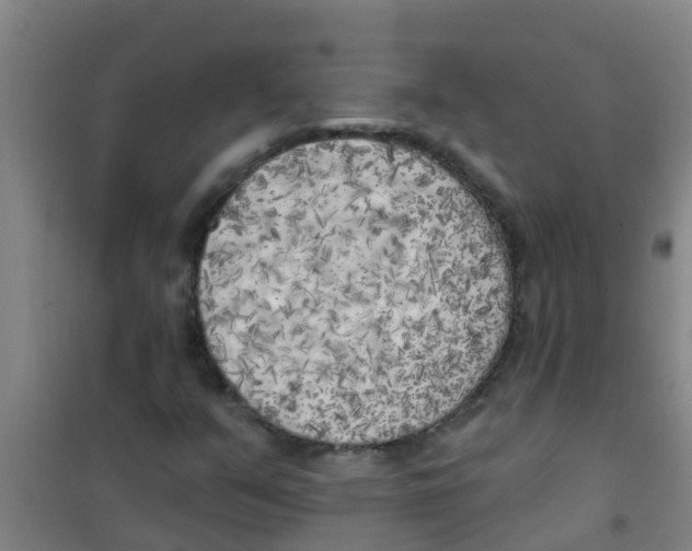 X0000100411351200807032028