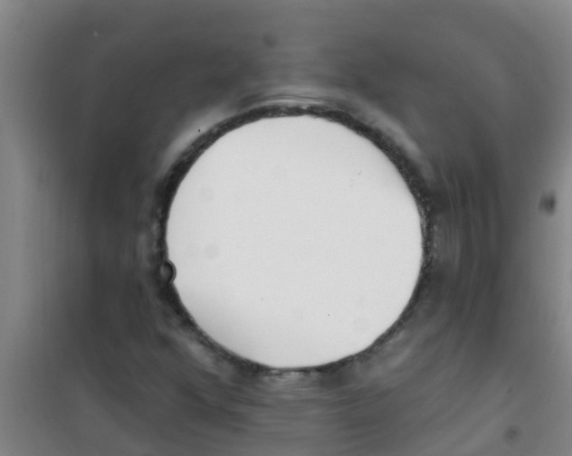 X0000100411352200807032028