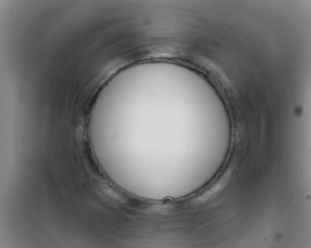 X0000100411353200807032028