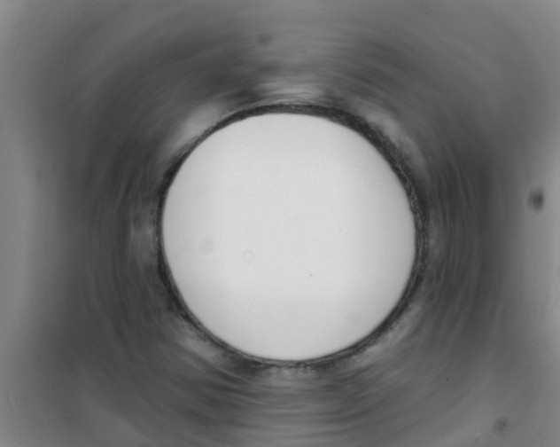 X0000100411354200807032028