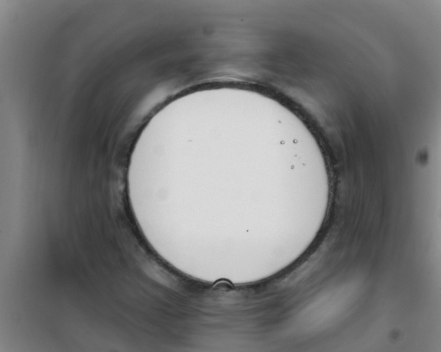 X0000100411355200807032028