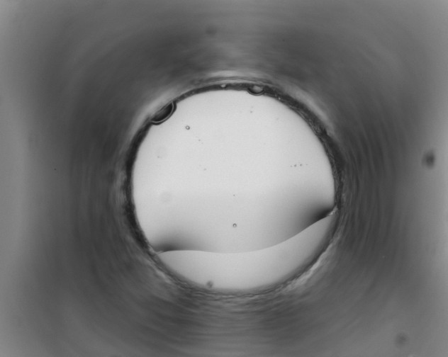 X0000100411357200807032028