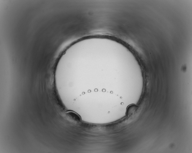 X0000100411358200807032028