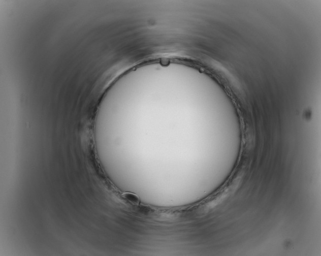 X0000100411361200807032028