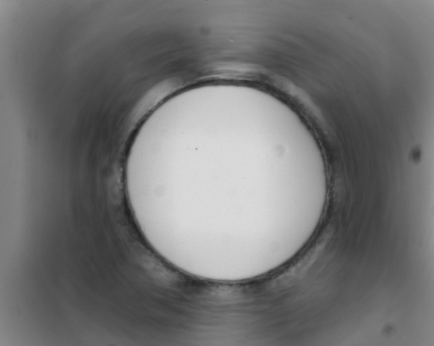 X0000100411362200807032027