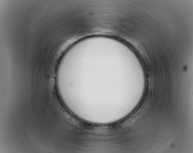 X0000100411363200807032027