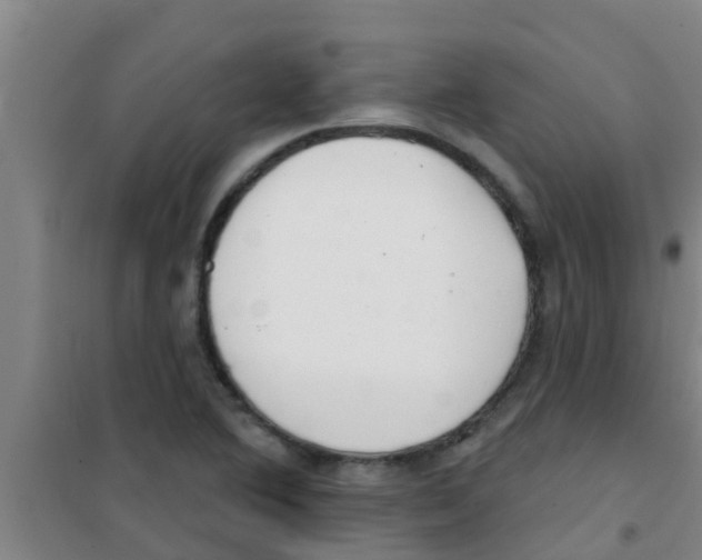 X0000100411364200807032027