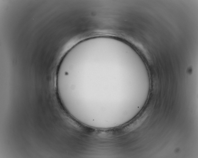 X0000100411365200807032027