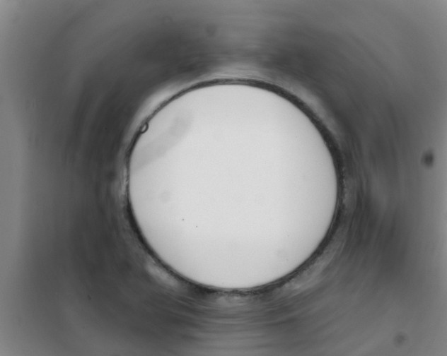 X0000100411366200807032027