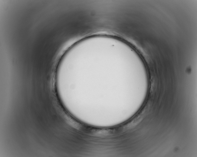 X0000100411367200807032027