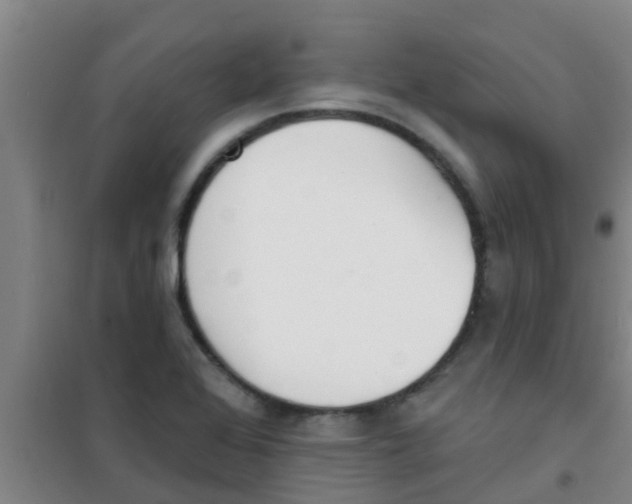 X0000100411368200807032027