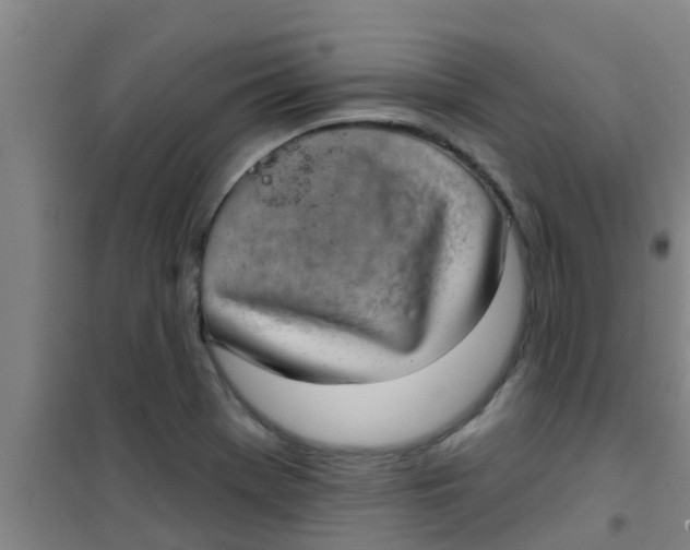 X0000100411369200807032027