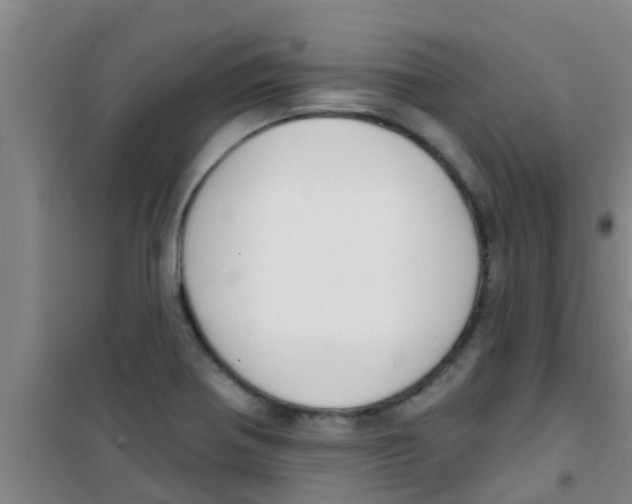 X0000100411370200807032027