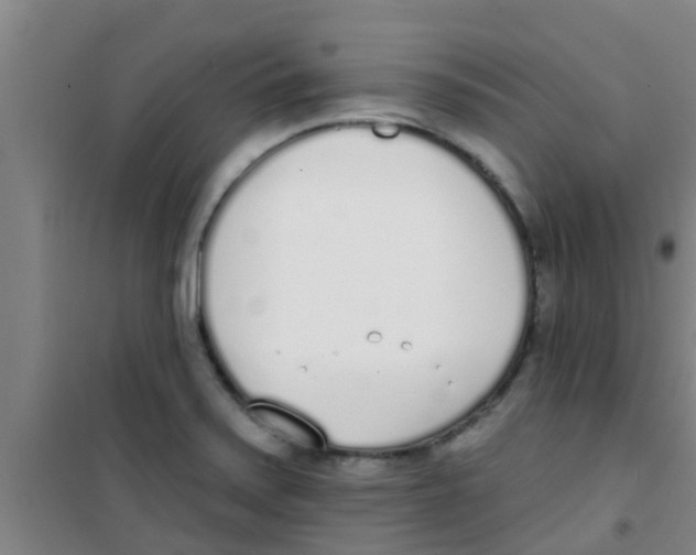 X0000100411371200807032027