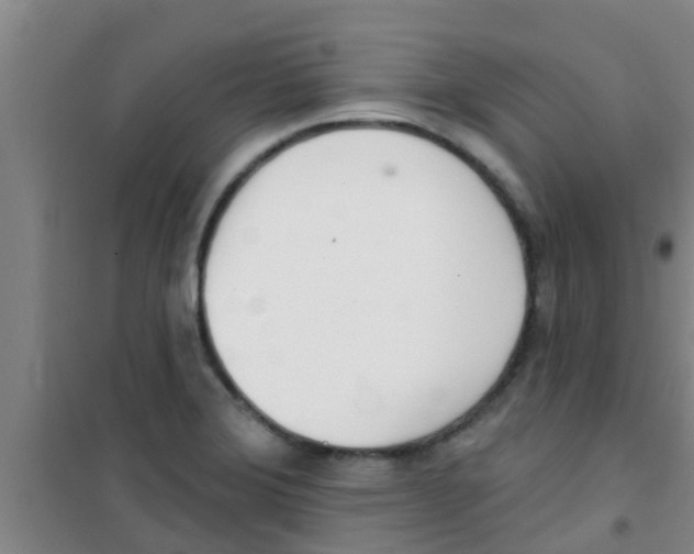 X0000100411372200807032027