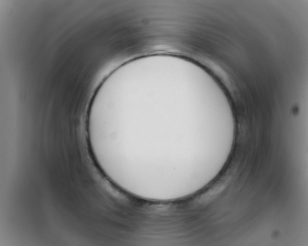 X0000100411373200807032027