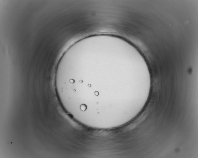 X0000100411374200807032027