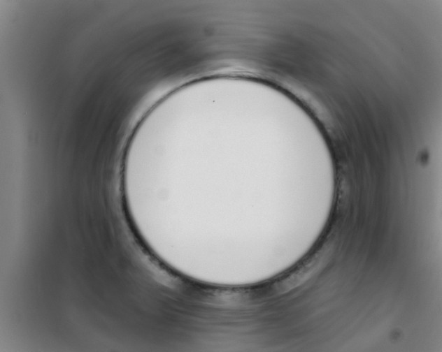 X0000100411375200807032027