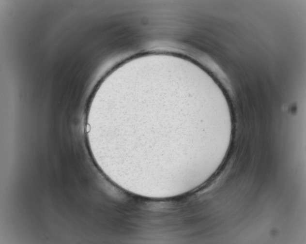 X0000100411376200807032027