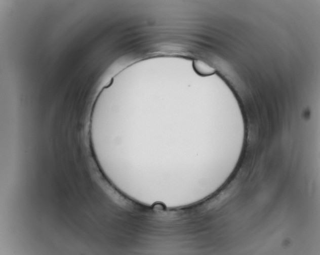 X0000100411378200807032027