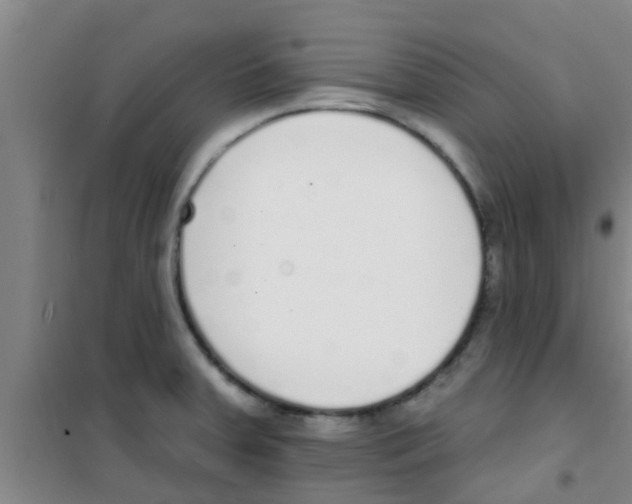 X0000100411379200807032027