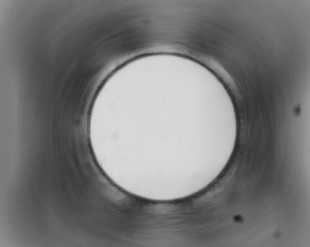 X0000100411380200807032027