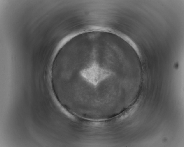 X0000100411381200807032027