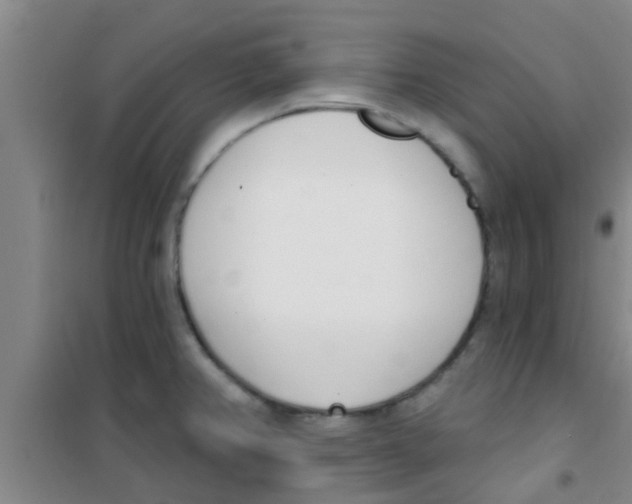 X0000100411382200807032027