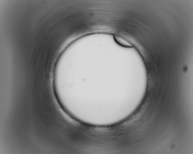 X0000100411383200807032027