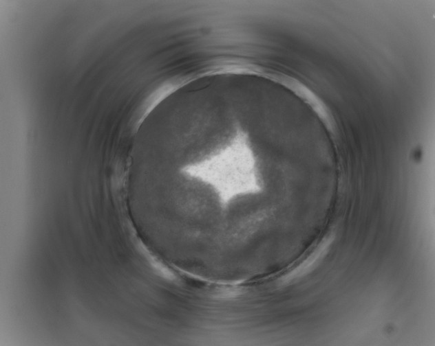 X0000100411385200807032027