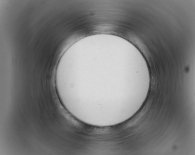 X0000100411386200807032027
