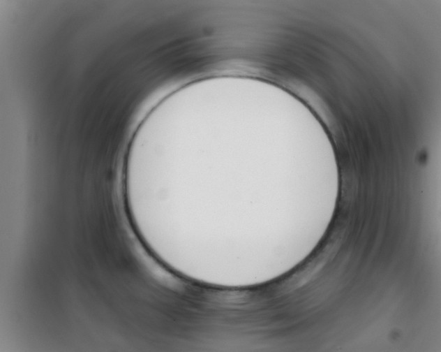 X0000100411387200807032027