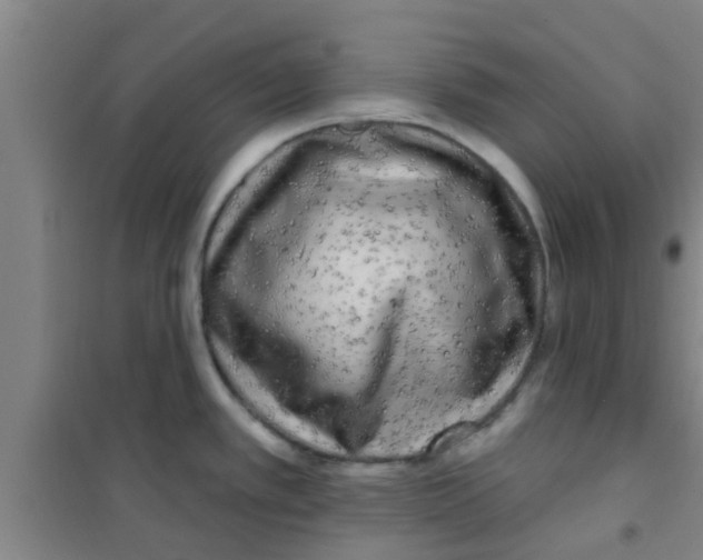 X0000100411389200807032027