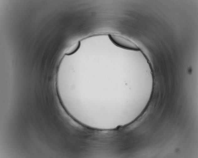 X0000100411390200807032027