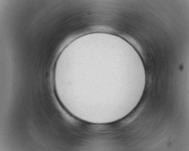 X0000100411391200807032027