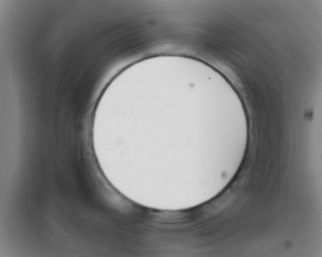 X0000100411392200807032027