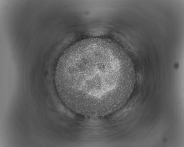 X0000100411393200807032026