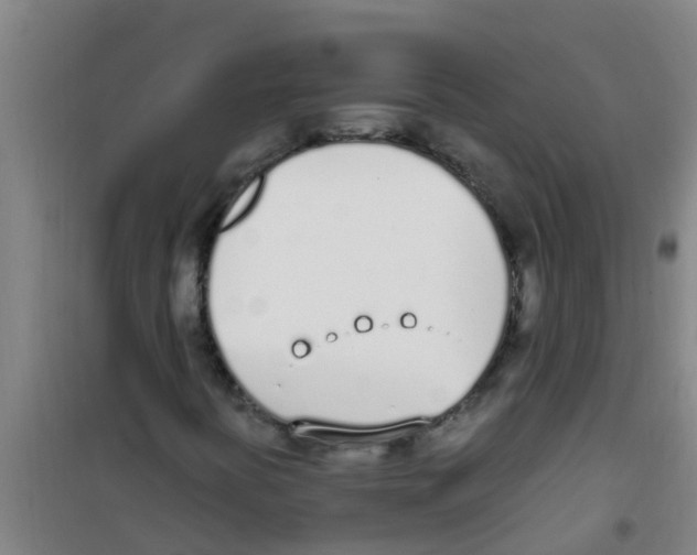 X0000100411394200807032026