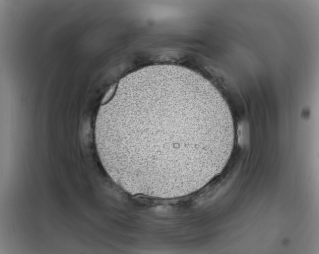 X0000100411395200807032026