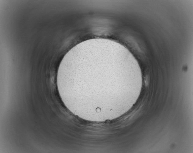 X0000100411396200807032026