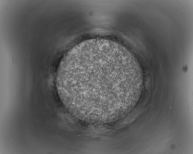 X0000100411397200807032026