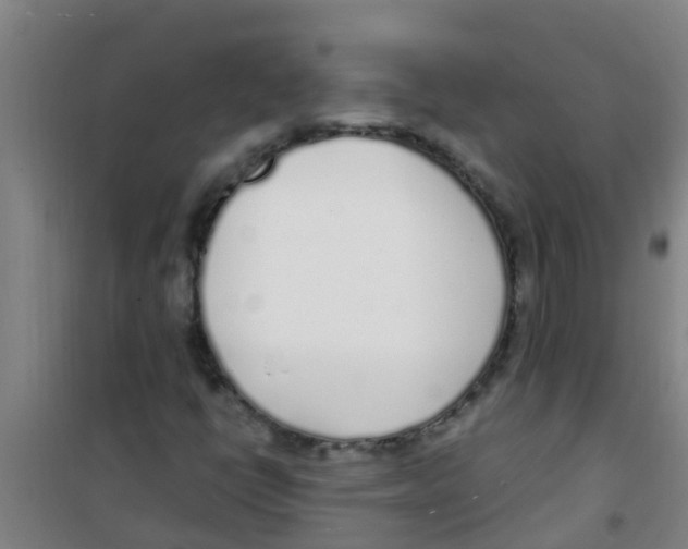 X0000100411398200807032026